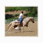 Profile Picture of Tyler Treadwell (@tyler_treadwell204) on Instagram