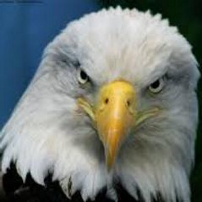 Profile Picture of Mario Rincon (@mariorincon2000) on Twitter