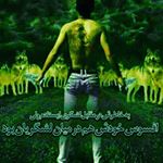Profile Picture of reza SAHEBAN (@sahebanreza) on Instagram