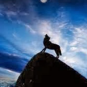 Profile Picture of Jimmy Nixon (@jimmynixon6855) on Youtube