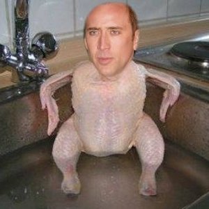 Profile Picture of Kasin Andrew Koch (@kasin_koch) on Myspace