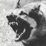 Profile Picture of Michael Cotten (@_michaelrcotten_) on Instagram