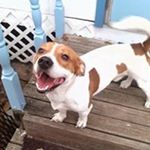 Profile Picture of Bruce Calhoun (@bruce.calhoun.18) on Instagram