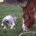 Profile Picture of Bert Evans (@bert.evans.908) on Facebook