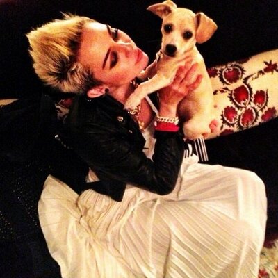 Profile Picture of Jane Ray Cyrus (@MileyJaneRay) on Twitter