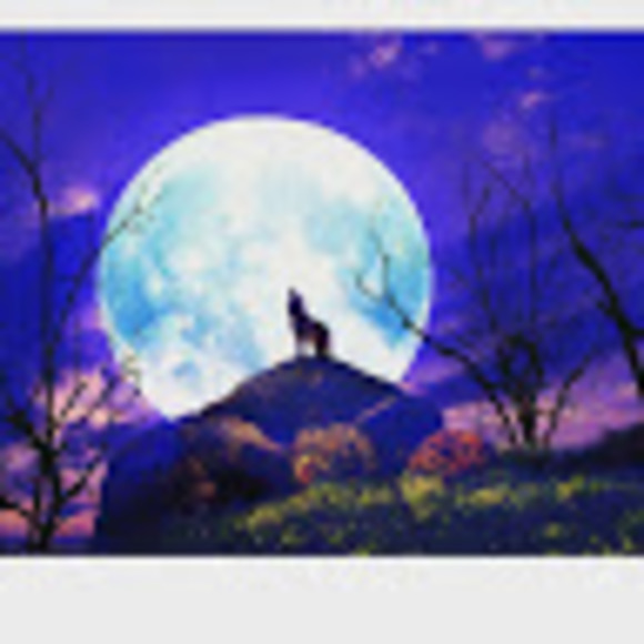 Profile Picture of Rama Ben khudair (@ramabkhudair) on Poshmark