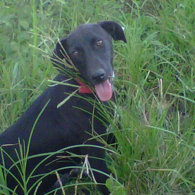 Profile Picture of Carlos Toribio (@Carlostoribio9) on Twitter