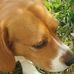 Profile Picture of Giuseppina Rotondo (@giuseppina.rotondo.9) on Facebook