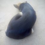 Profile Picture of Peter samson (@petersamson5464) on Instagram