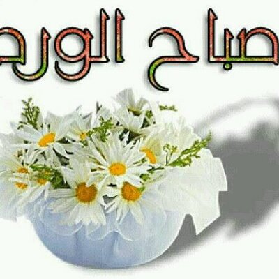 Profile Picture of Abdul–Rahman (@1c309f1543ed469) on Twitter