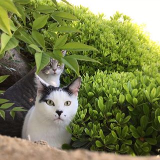 Profile Picture of Carson Gunter (@Carson-Gunter) on Facebook