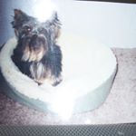 Profile Picture of BRENDA HOLLOWAY (@bholloway1984) on Instagram