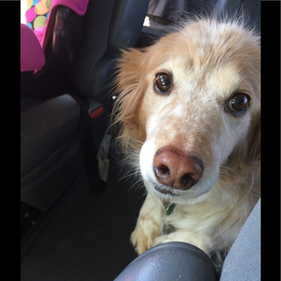 Profile Picture of Sandy Isacson (@sandyon1) on Poshmark