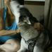 Profile Picture of Shelly Wise (@shelly.wise.543) on Facebook