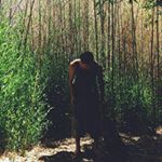 Profile Picture of Nik Morris (@nikolarsemorris) on Instagram