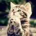 Profile Picture of Mounir Girgis (@mounir.girgis) on Facebook