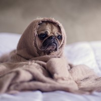 Profile Picture of Nate Hoffelder (@nate-hoffelder) on Quora
