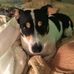 Profile Picture of Claudette Caudill (@claudette.caudill.9235) on Facebook
