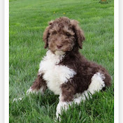 Profile Picture of Lucas Rowlett (@LucasDavidRowlett) on Youtube