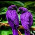 Profile Picture of Nukida (@nukida.nukida.33) on Facebook