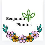 Profile Picture of Benjamín Plantas (@Benjamín-Plantas) on Facebook
