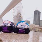 Miki Wakai(みきことまぴ) - Instagram Profile Picture of Miki Wakai(みきことまぴ) (@piyo2.mkkr) on Instagram