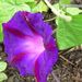 Profile Picture of Ruth Davenport (@ruthdavenport9) on Pinterest