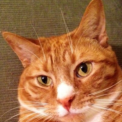 Profile Picture of Margaret Croft (@CroftMargret) on Twitter