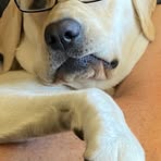 Profile Picture of Mark Farabaugh (@Mark-Farabaugh) on Facebook