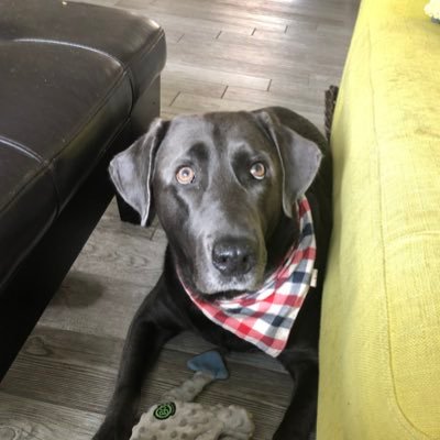 Bradley Arendt - Twitter Profile Picture of Bradley Arendt (@bradleyarendt) on Twitter