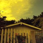 Profile Picture of Josefina Vicuña (@josefinavicu) on Pinterest