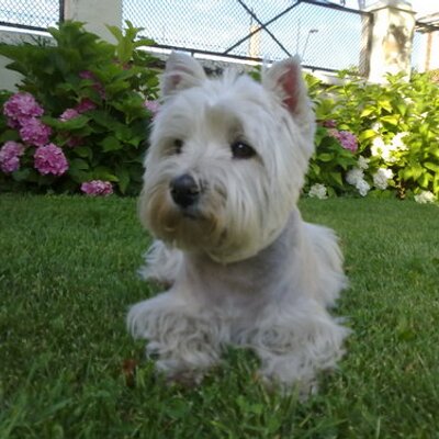 Profile Picture of Lorena (@LorenaHarvey) on Twitter