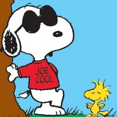 Joe Perricone - Twitter Profile Picture of Joe Perricone (@Joe_Perricone) on Twitter