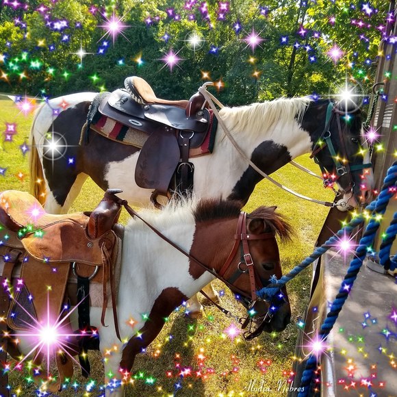 Profile Picture of Corey Bruce (@corey_bruce) on Poshmark