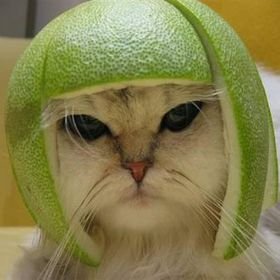 Profile Picture of James Skinner (@spir4lx) on Twitter