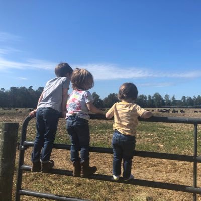 Profile Picture of David Nicola (@dnicola13) on Twitter