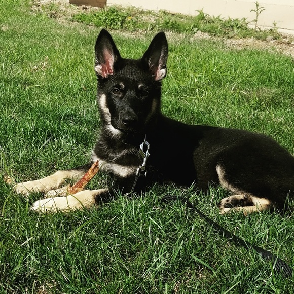 Profile Picture of Elliott Fejes (@romeshredder) on Poshmark