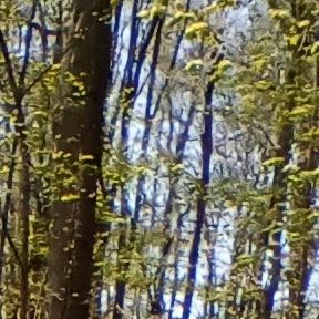 Profile Picture of Paige Merrill (@paigemerrill01) on Tiktok