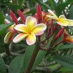 Kristi Ballinger - Facebook Profile Picture of Kristi Ballinger (@kristi.ballinger.58) on Facebook