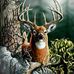 Profile Picture of James Crabb (@james.crabb.18) on Facebook