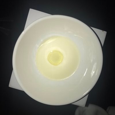 Profile Picture of Chris Kwon (@chriskwon16) on Twitter