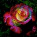 Profile Picture of Linda Cottrell Dahm (@greattia) on Pinterest