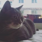 Profile Picture of Miriam Thomas (@her.wandering.mind) on Instagram