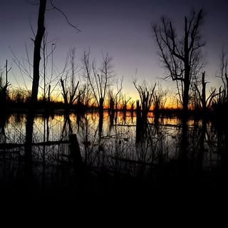 Profile Picture of Todd Partridge (@partridge_todd) on Instagram