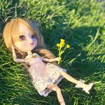 Profile Picture of Pullipdoll Hope🌷 (@pullipdollhope) on Instagram
