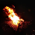 David Axmann - Instagram Profile Picture of David Axmann (@david.axmann) on Instagram