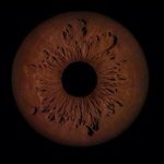 Profile Picture of Christophe Rousselot (@chrisrousselot) on Instagram