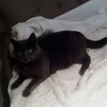 Profile Picture of Thomas (@thomasdausse) on Instagram