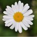 Profile Picture of Cindy Crites (@cindy.crites.37) on Facebook
