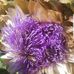 Profile Picture of Bernadette Bernie Leonard Madsen (Bernie Madsen) (@bernadette.leonardmadsen) on Facebook